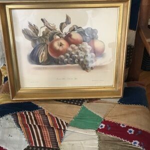 Framed Fruit Still Life Art Print
